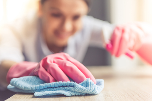 oven cleaning services